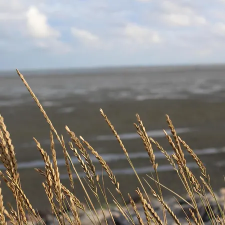 Hus Op De Wurth Seaside Sixteen Διαμέρισμα